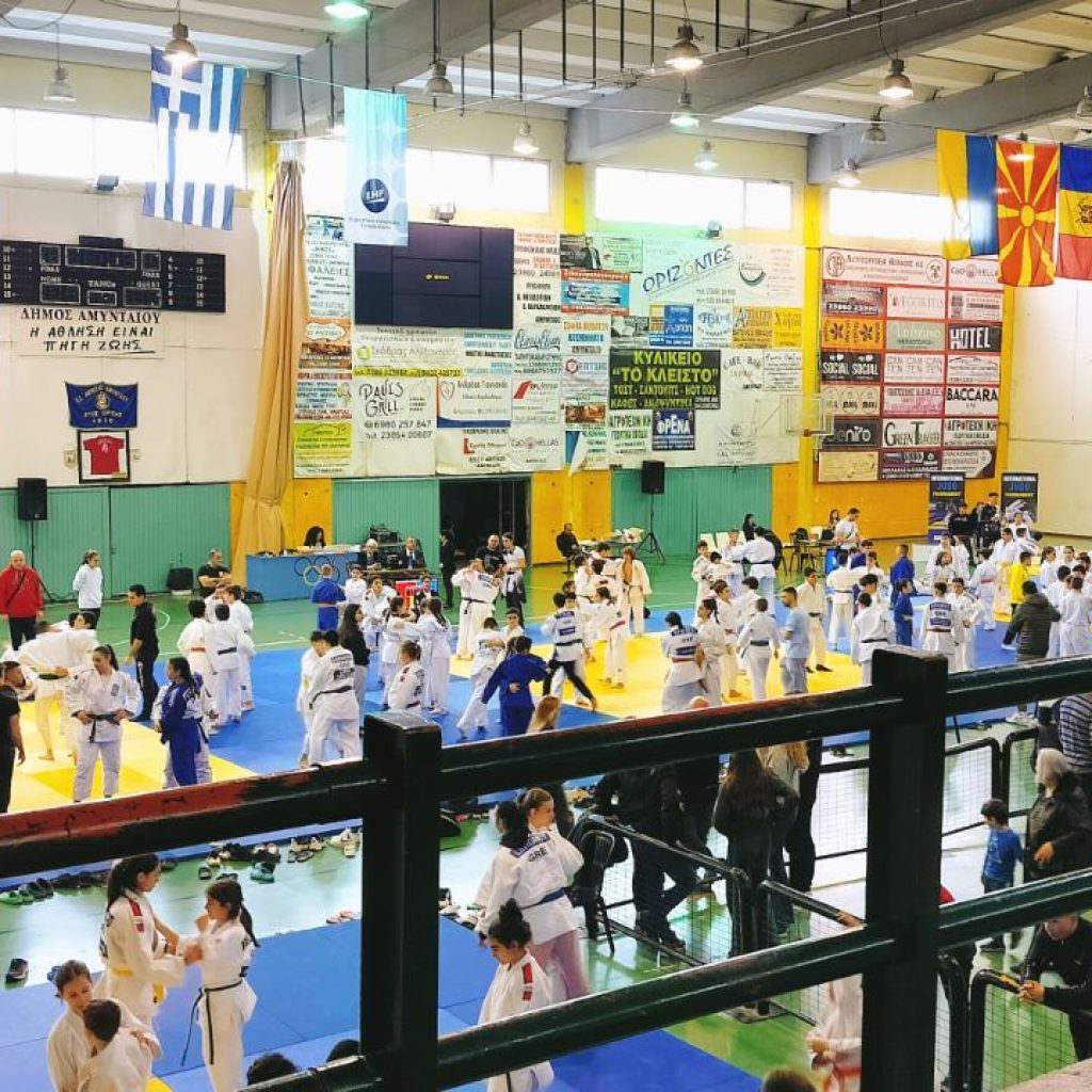 Τουρνουά Αμύνταιο 02.2024